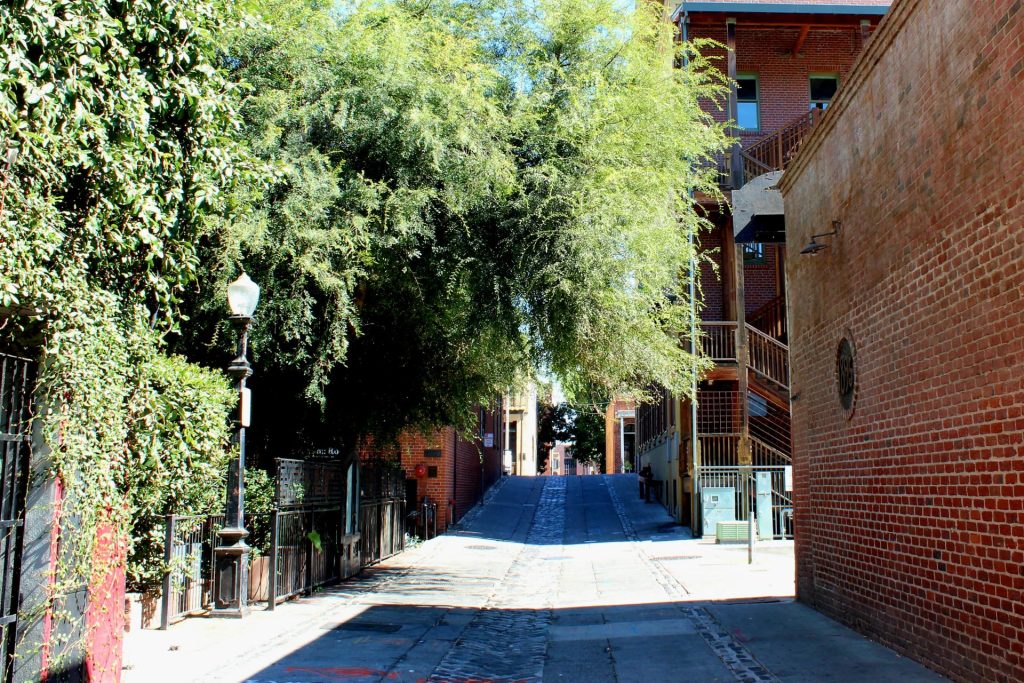 Narrow alley with brick buildings and lush trees overhead. Sunlight casts shadows on the cobblestone path, creating a tranquil urban scene.